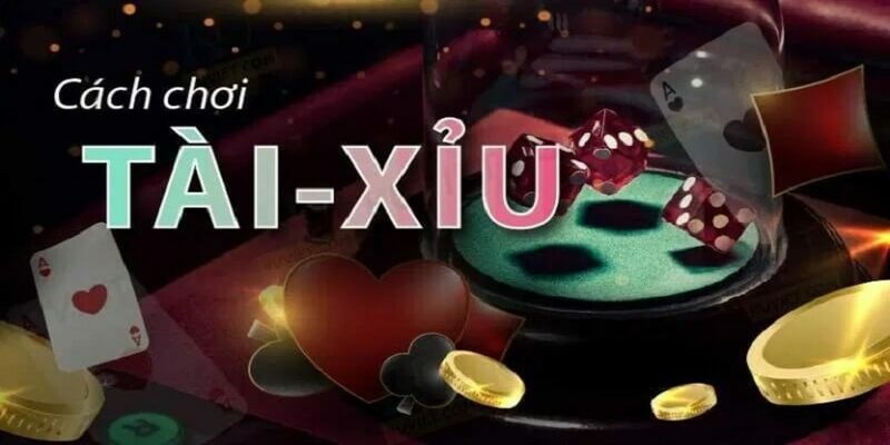 Cách chơi tài xỉu online đơn giản dễ hiểu tại Kubet11 